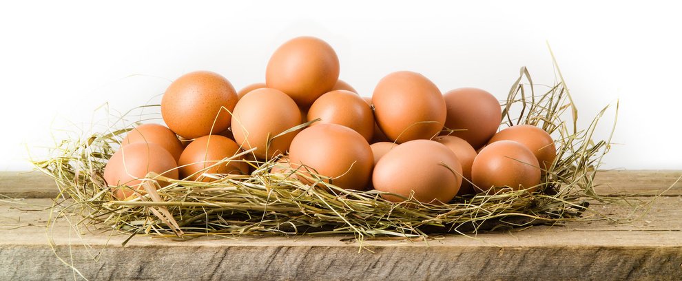 Куриное яйцо Клондайк • Где взять или найти материал