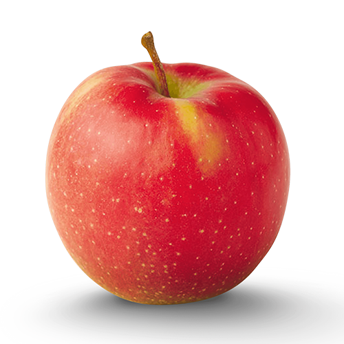 jonagold-apple.png